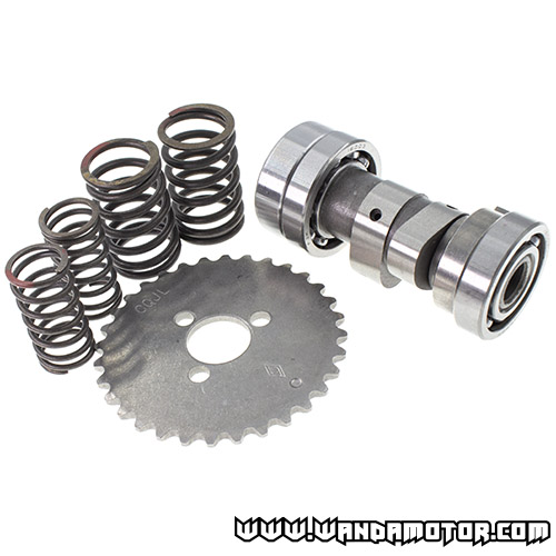 Lifan 150 camshaft bundle